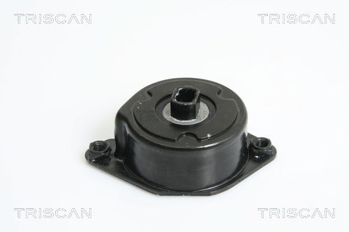 Riemenspanner, Keilrippenriemen Triscan 8641 113028 Riemenspanner, Keilrippenriemen Triscan 8641 113028 von Triscan