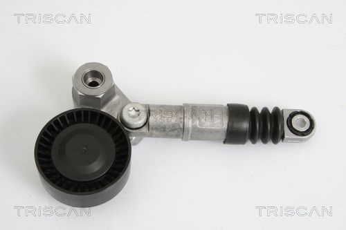 Riemenspanner, Keilrippenriemen Triscan 8641 123002 von Triscan