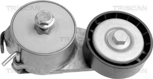 Riemenspanner, Keilrippenriemen Triscan 8641 153003 Riemenspanner, Keilrippenriemen Triscan 8641 153003 von Triscan