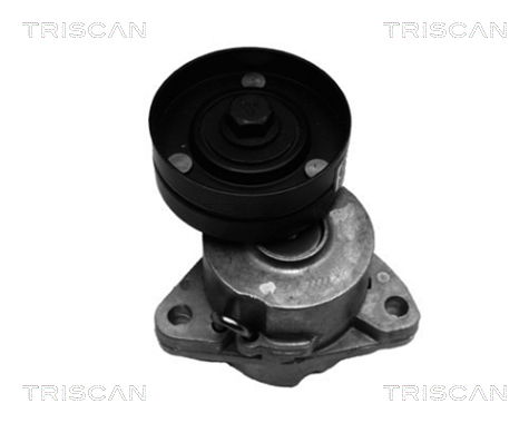 Riemenspanner, Keilrippenriemen Triscan 8641 243003 Riemenspanner, Keilrippenriemen Triscan 8641 243003 von Triscan