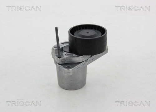 Riemenspanner, Keilrippenriemen Triscan 8641 251018 von Triscan