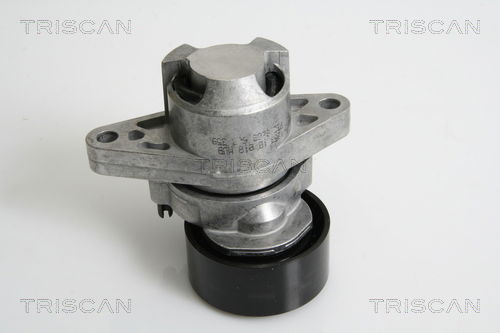 Riemenspanner, Keilrippenriemen Triscan 8641 253008 Riemenspanner, Keilrippenriemen Triscan 8641 253008 von Triscan