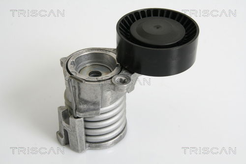Riemenspanner, Keilrippenriemen Triscan 8641 293025 Riemenspanner, Keilrippenriemen Triscan 8641 293025 von Triscan