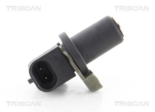 Sensor, Raddrehzahl Triscan 8180 21250 von Triscan