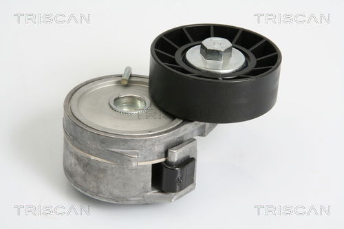 Spannrolle, Keilrippenriemen Triscan 8641 103031 Spannrolle, Keilrippenriemen Triscan 8641 103031 von Triscan