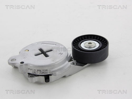 Spannrolle, Keilrippenriemen Triscan 8641 133007 von Triscan