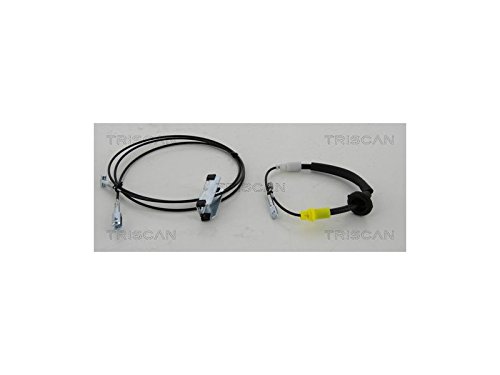TRISCAN 8140 10194 Bremskraftverstärker von Triscan