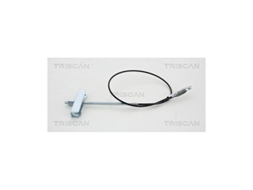 TRISCAN 8140 161182 Bremskraftverstärker von TRISCAN