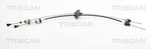 TRISCAN 8140 23708 Antriebselemente von Triscan