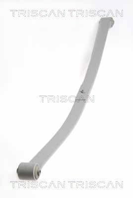 TRISCAN 8765 29019 Tieferlegungsfedern von Triscan