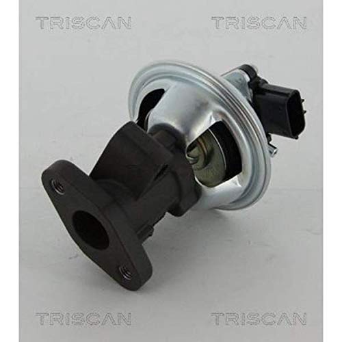 TRISCAN 8813 16069 AGR-Ventile TRISCAN 8813 16069 AGR-Ventile von TRISCAN