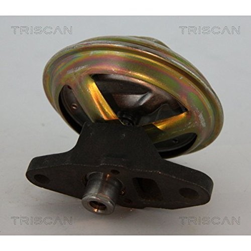 TRISCAN 8813 21009 AGR-Ventile von Triscan
