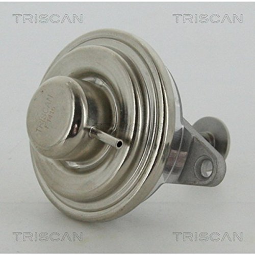TRISCAN 8813 24054 AGR-Ventile von Triscan