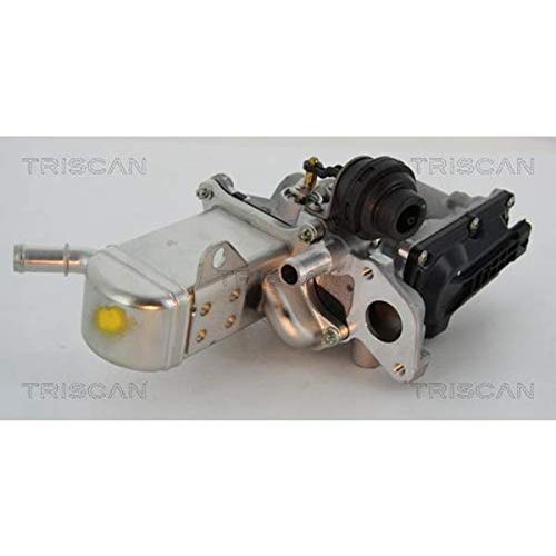 TRISCAN 8813 25013 AGR-Ventile von Triscan