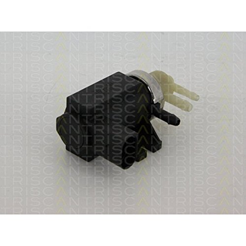 TRISCAN 8813 29104 AGR-Ventile TRISCAN 8813 29104 AGR-Ventile von TRISCAN