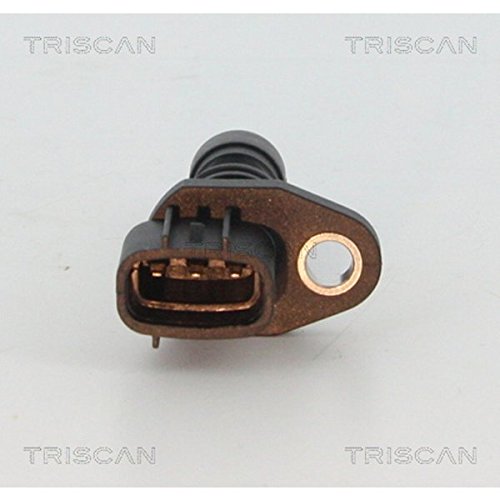 TRISCAN 8855 14109 Einspritzanlage TRISCAN 8855 14109 Einspritzanlage von TRISCAN