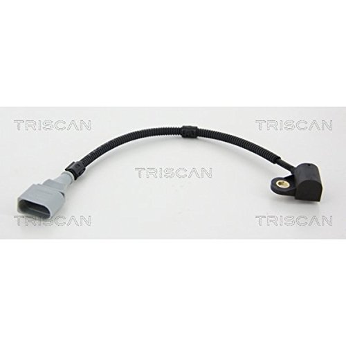 TRISCAN 8865 29107 Einspritzanlage TRISCAN 8865 29107 Einspritzanlage von TRISCAN
