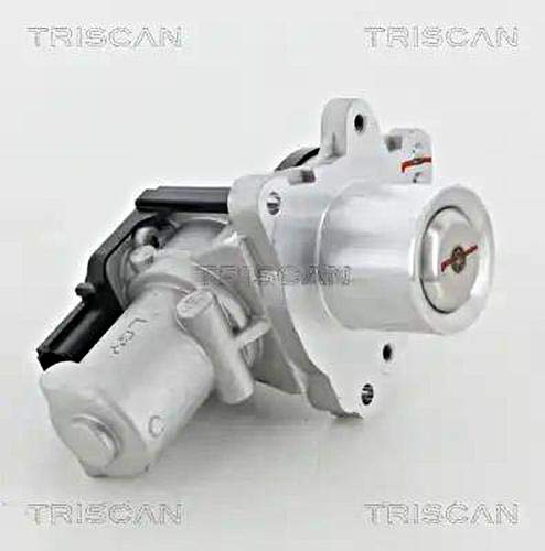 TRISCAN AGR-Ventil 881318045 TRISCAN AGR-Ventil 881318045 von Triscan