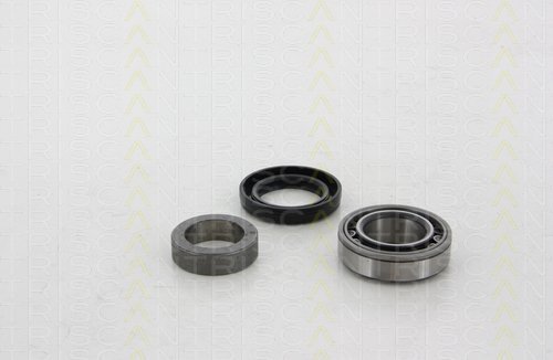 Triscan 853010273 Radlagersatz hinten von Triscan
