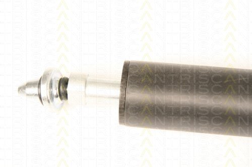 Triscan 871038228 Gasfeder Kofferraum Triscan 871038228 Gasfeder Kofferraum von Triscan