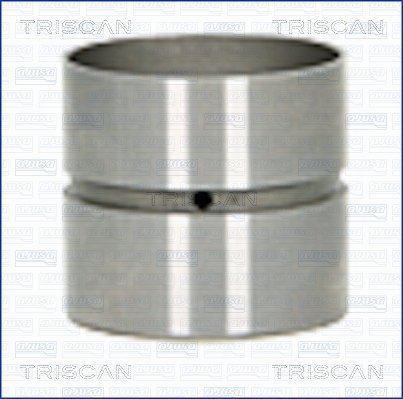 Ventilstößel Einlassseite Auslassseite Triscan 80-25007 von Triscan