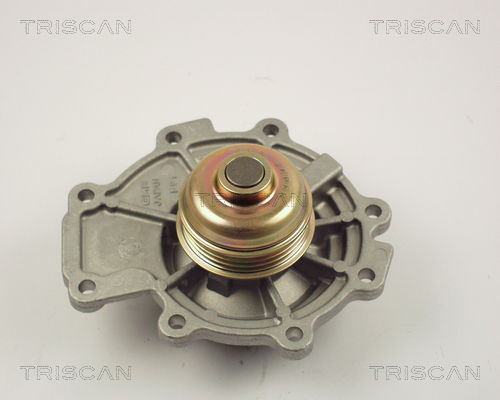 Wasserpumpe, Motorkühlung Triscan 8600 16011 von Triscan