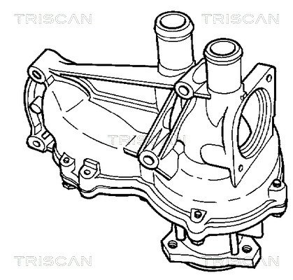 Wasserpumpe, Motorkühlung Triscan 8600 29002 von Triscan