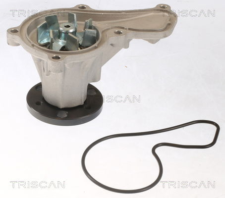 Wasserpumpe, Motorkühlung Triscan 8600 40017 von Triscan