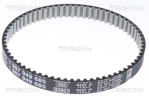 Zahnriemen Triscan 8645 29001 Zahnriemen Triscan 8645 29001 von Triscan