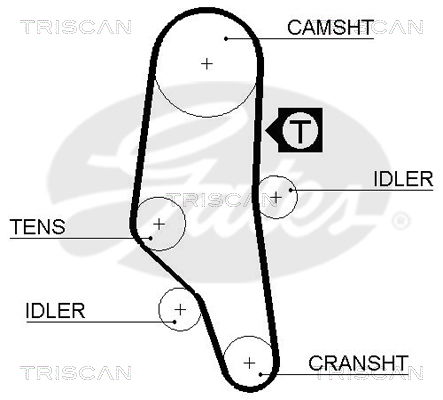 Zahnriemen Triscan 8645 5302xs Zahnriemen Triscan 8645 5302xs von Triscan
