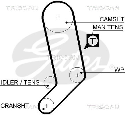 Zahnriemen Triscan 8645 5323xs Zahnriemen Triscan 8645 5323xs von Triscan