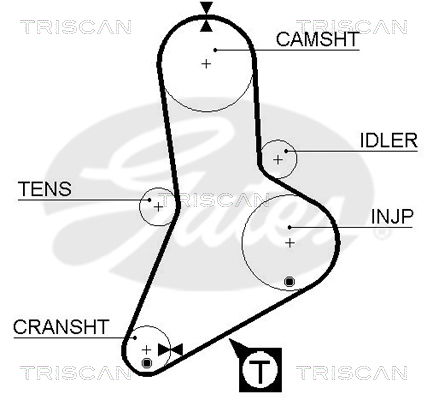 Zahnriemen Triscan 8645 5335xs Zahnriemen Triscan 8645 5335xs von Triscan
