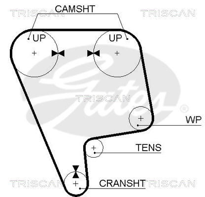 Zahnriemen Triscan 8645 5348xs Zahnriemen Triscan 8645 5348xs von Triscan