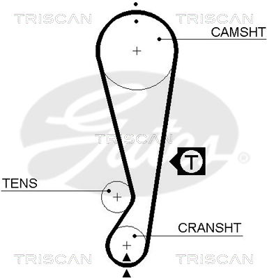 Zahnriemen Triscan 8645 5403xs Zahnriemen Triscan 8645 5403xs von Triscan