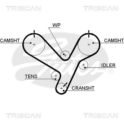 Zahnriemen Triscan 8645 5446xs Zahnriemen Triscan 8645 5446xs von Triscan