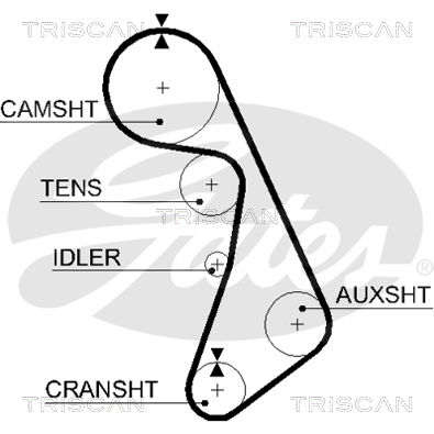 Zahnriemen Triscan 8645 5492xs Zahnriemen Triscan 8645 5492xs von Triscan