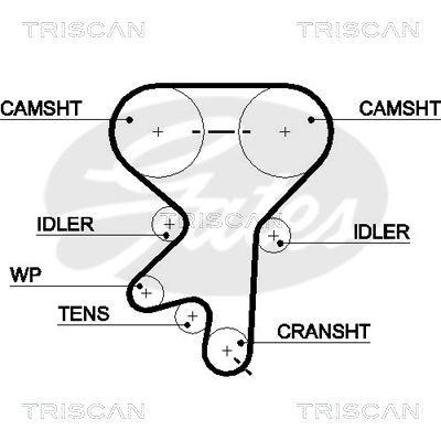Zahnriemen Triscan 8645 5499xs Zahnriemen Triscan 8645 5499xs von Triscan