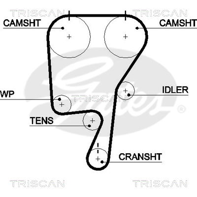 Zahnriemen Triscan 8645 5509xs Zahnriemen Triscan 8645 5509xs von Triscan