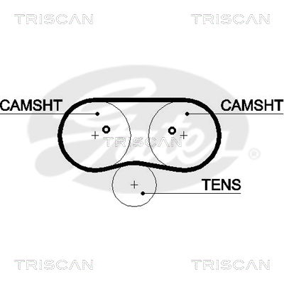 Zahnriemen Triscan 8645 5516xs Zahnriemen Triscan 8645 5516xs von Triscan