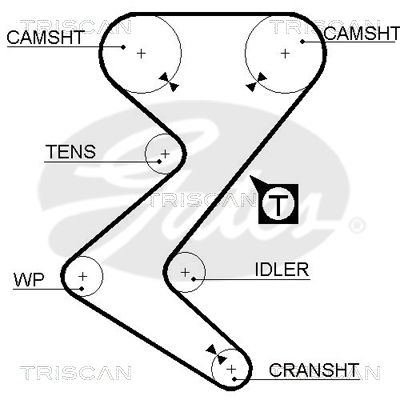 Zahnriemen Triscan 8645 5528xs Zahnriemen Triscan 8645 5528xs von Triscan