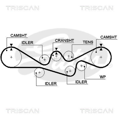 Zahnriemen Triscan 8645 5537xs Zahnriemen Triscan 8645 5537xs von Triscan