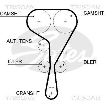 Zahnriemen Triscan 8645 5550xs Zahnriemen Triscan 8645 5550xs von Triscan