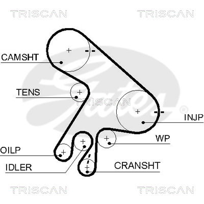 Zahnriemen Triscan 8645 5562xs Zahnriemen Triscan 8645 5562xs von Triscan