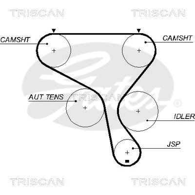 Zahnriemen Triscan 8645 5573xs Zahnriemen Triscan 8645 5573xs von Triscan