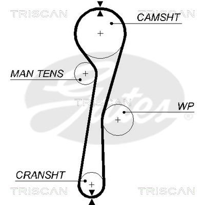 Zahnriemen Triscan 8645 5577xs Zahnriemen Triscan 8645 5577xs von Triscan