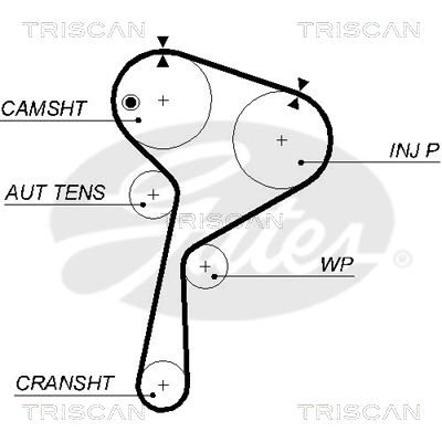 Zahnriemen Triscan 8645 5578xs Zahnriemen Triscan 8645 5578xs von Triscan