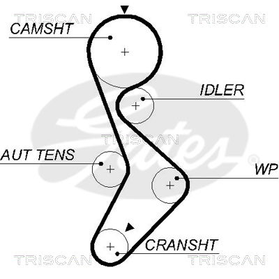 Zahnriemen Triscan 8645 5579xs Zahnriemen Triscan 8645 5579xs von Triscan