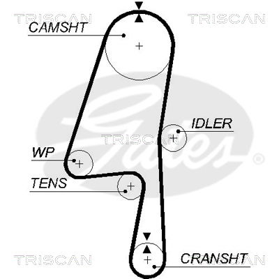 Zahnriemen Triscan 8645 5580xs Zahnriemen Triscan 8645 5580xs von Triscan