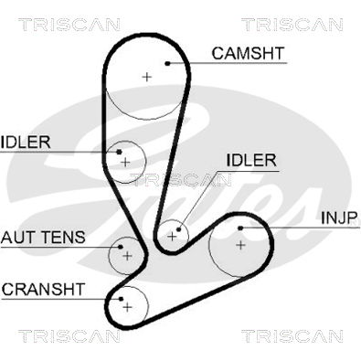 Zahnriemen Triscan 8645 5592xs Zahnriemen Triscan 8645 5592xs von Triscan