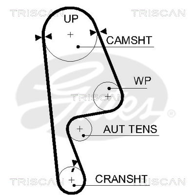 Zahnriemen Triscan 8645 5593xs Zahnriemen Triscan 8645 5593xs von Triscan